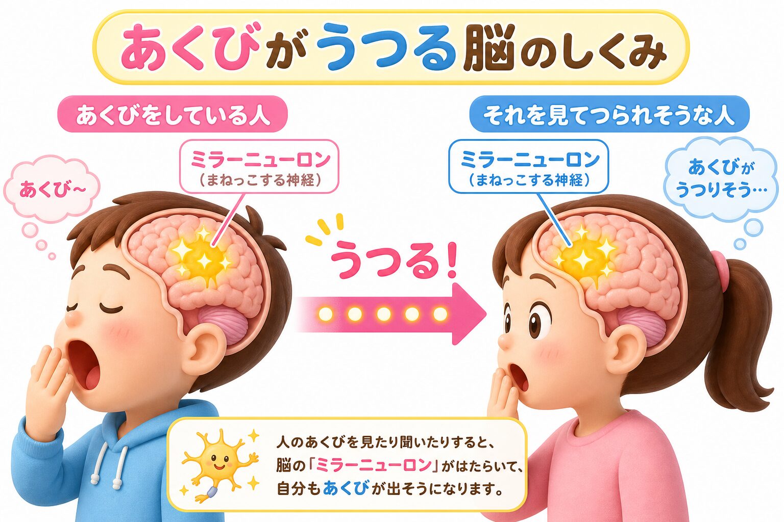 あくびを見ると脳のミラーニューロンが働いて自分もあくびが出そうになる、あくびが「うつる」しくみの図解