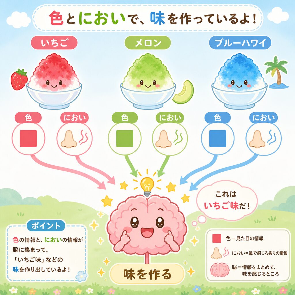 かき氷シロップの味は色とにおいで決まる図解