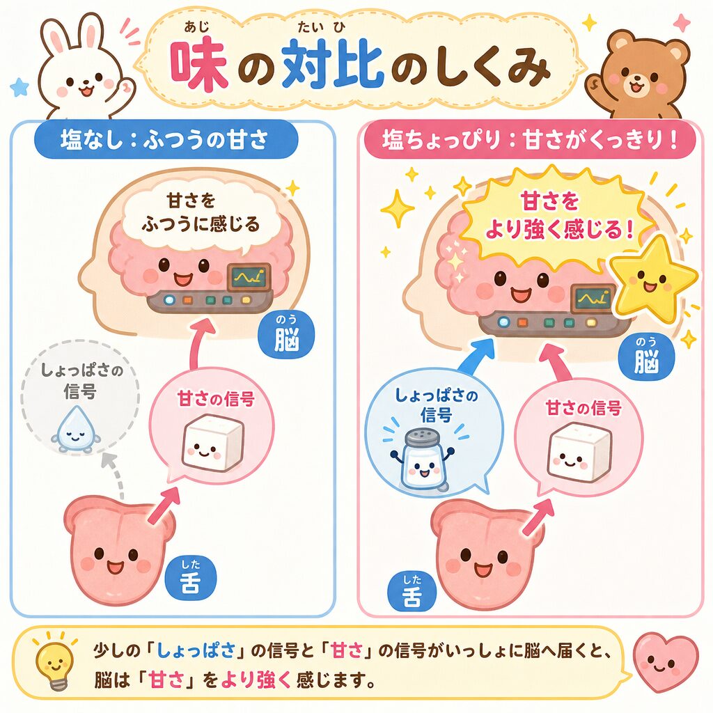 味の対比(舌→脳で甘さが強く感じる)図解