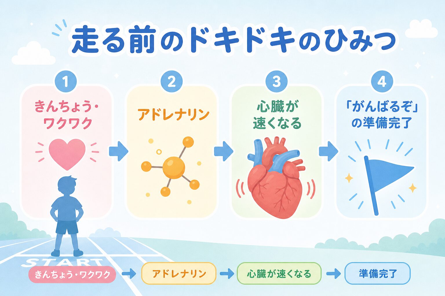 走る前のドキドキのひみつを示す図解