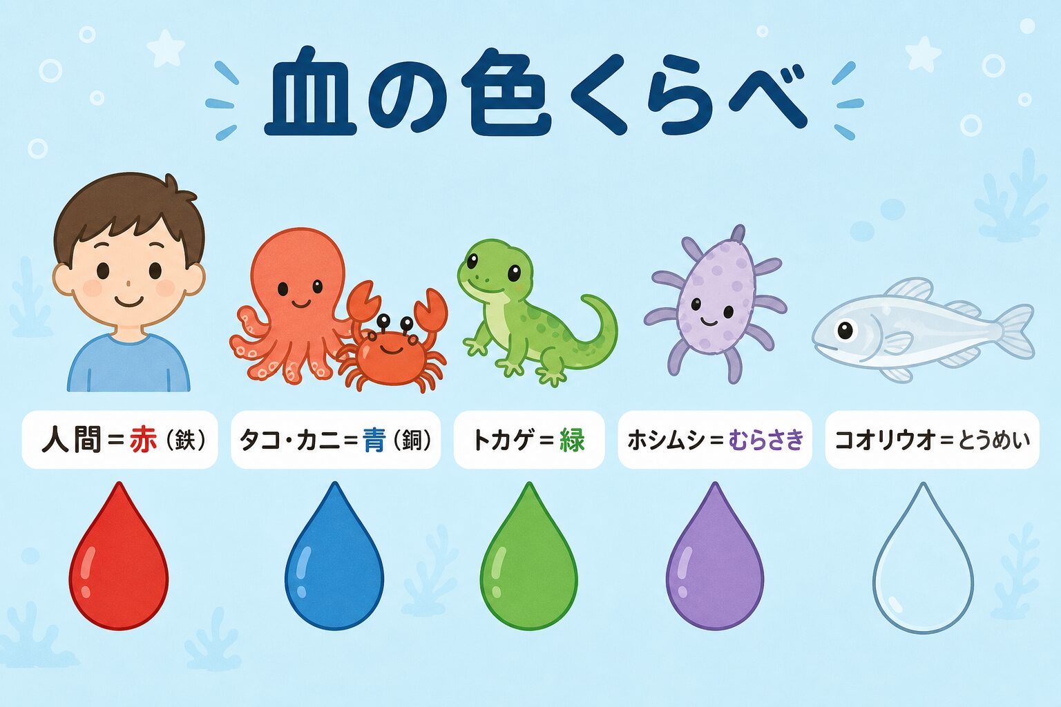 血の色くらべの図解。人間は赤い血(鉄)、タコやカニは青い血(銅)、トカゲは緑、ホシムシはむらさき、コオリウオはとうめいの血。