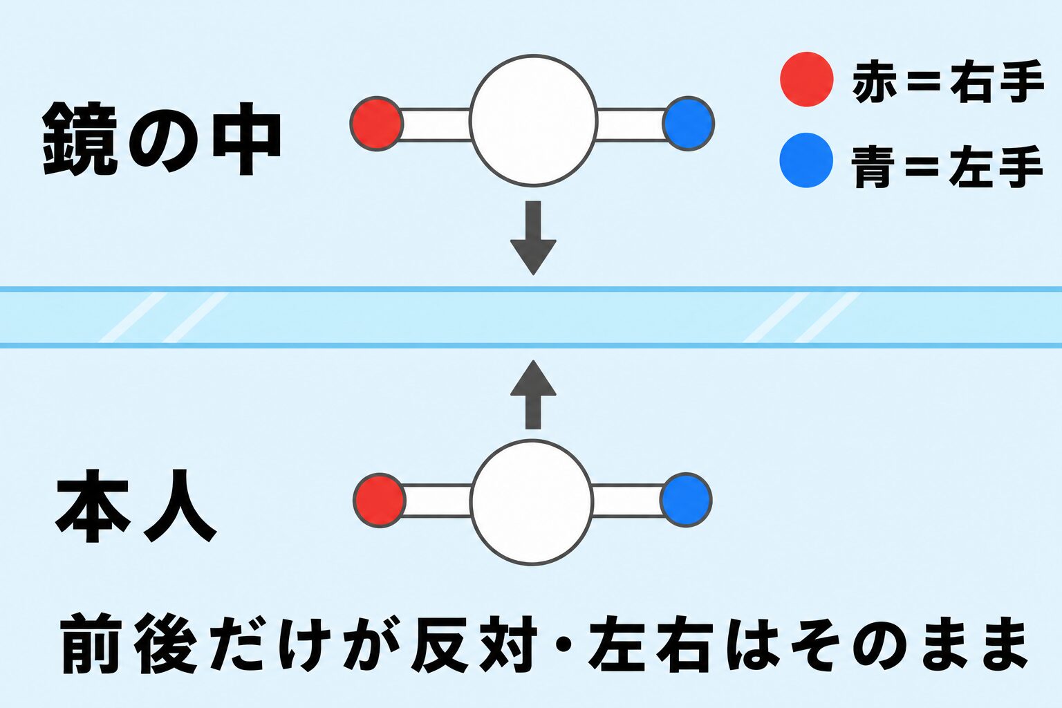 鏡は左右ではなく前後を反対にすることを真上から示す図解