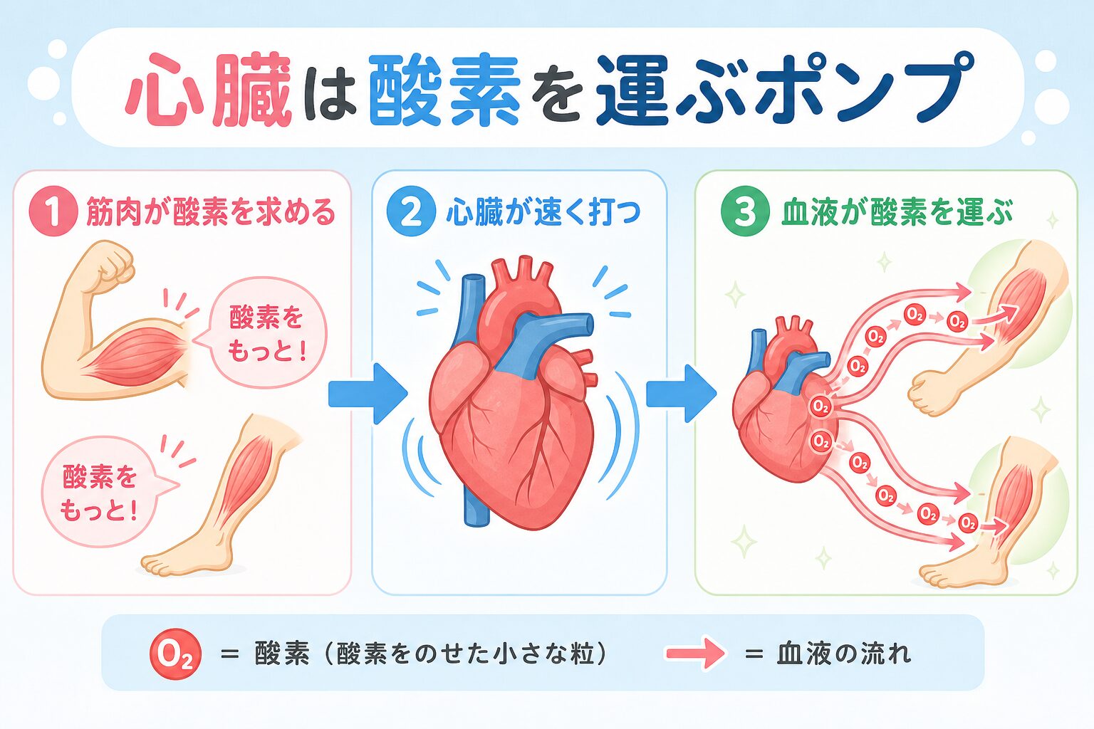 心臓は酸素を運ぶポンプを示す図解