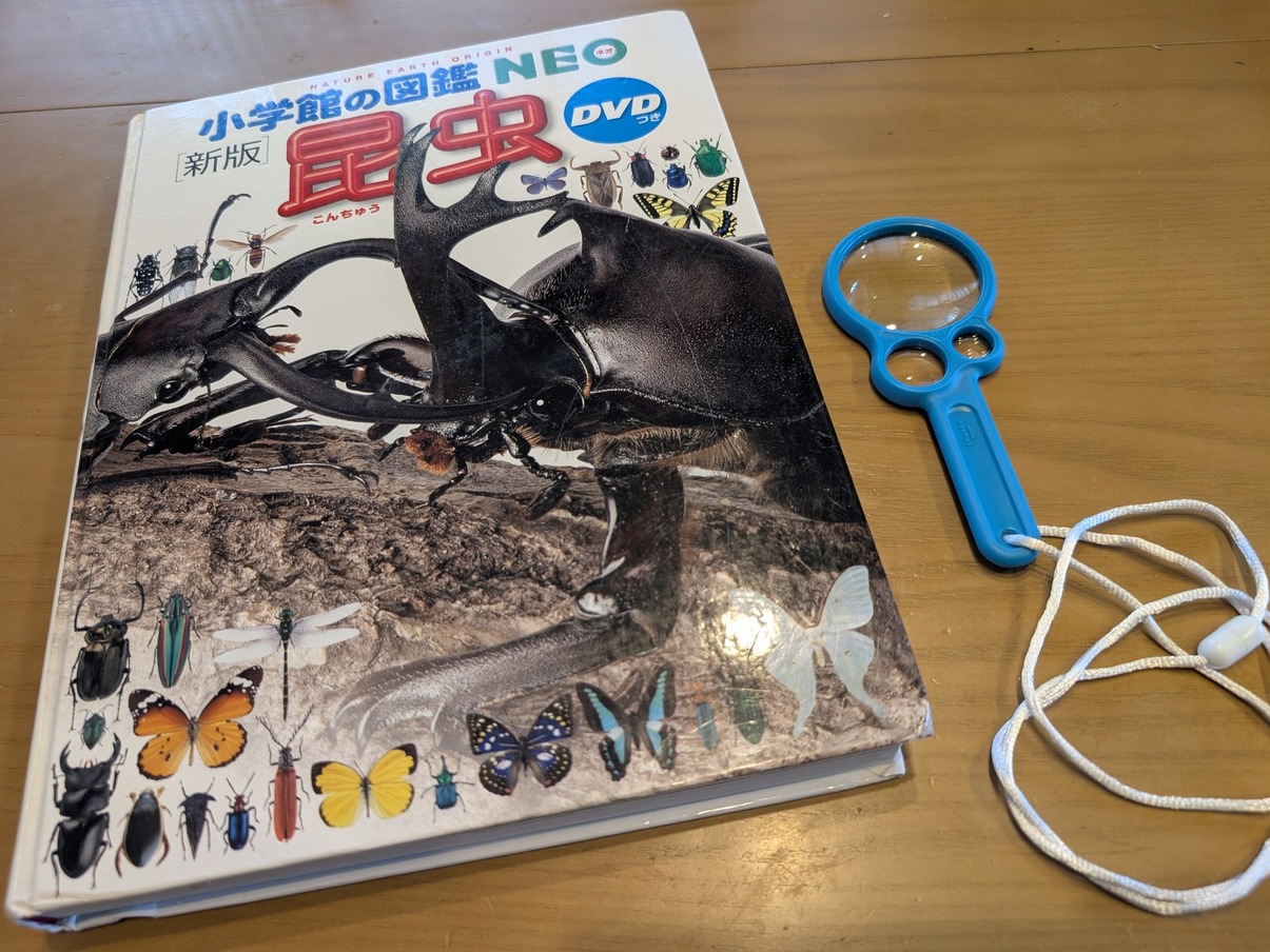 小学館の図鑑NEO 昆虫の表紙と、青いルーペが木のテーブルに並べて置かれている