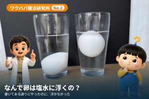 透明なコップが2つ。左のただの水では卵が底に沈み、右の塩水では卵が水面近くに浮いている