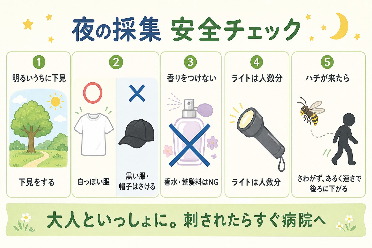 夜の採集で気をつけること（明るいうちに下見・黒っぽい服を避ける・強い香りを避ける・ライトにハチが来たら振り回さずそっと消す）を示した安全の図解