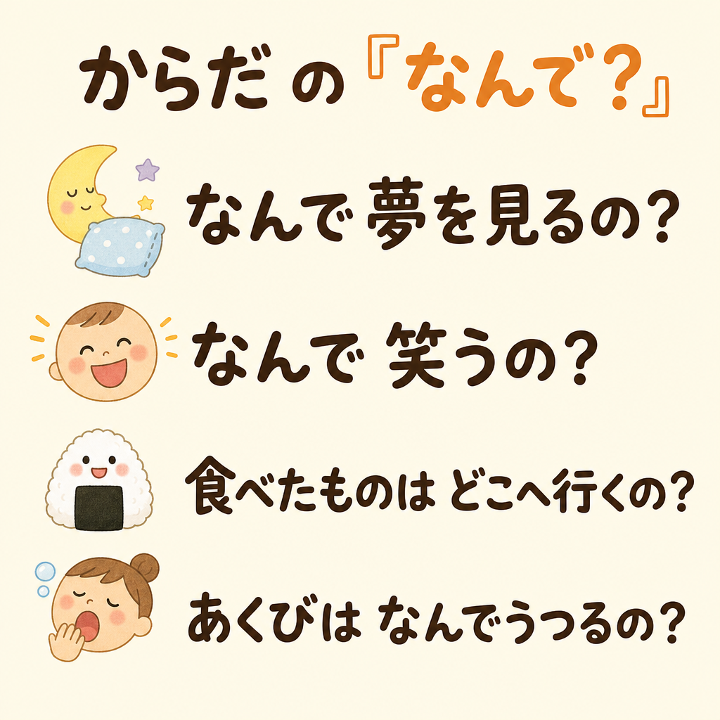 からだ・ふしぎの「なんで?」4つ：夢・笑う・食べたもの・あくび