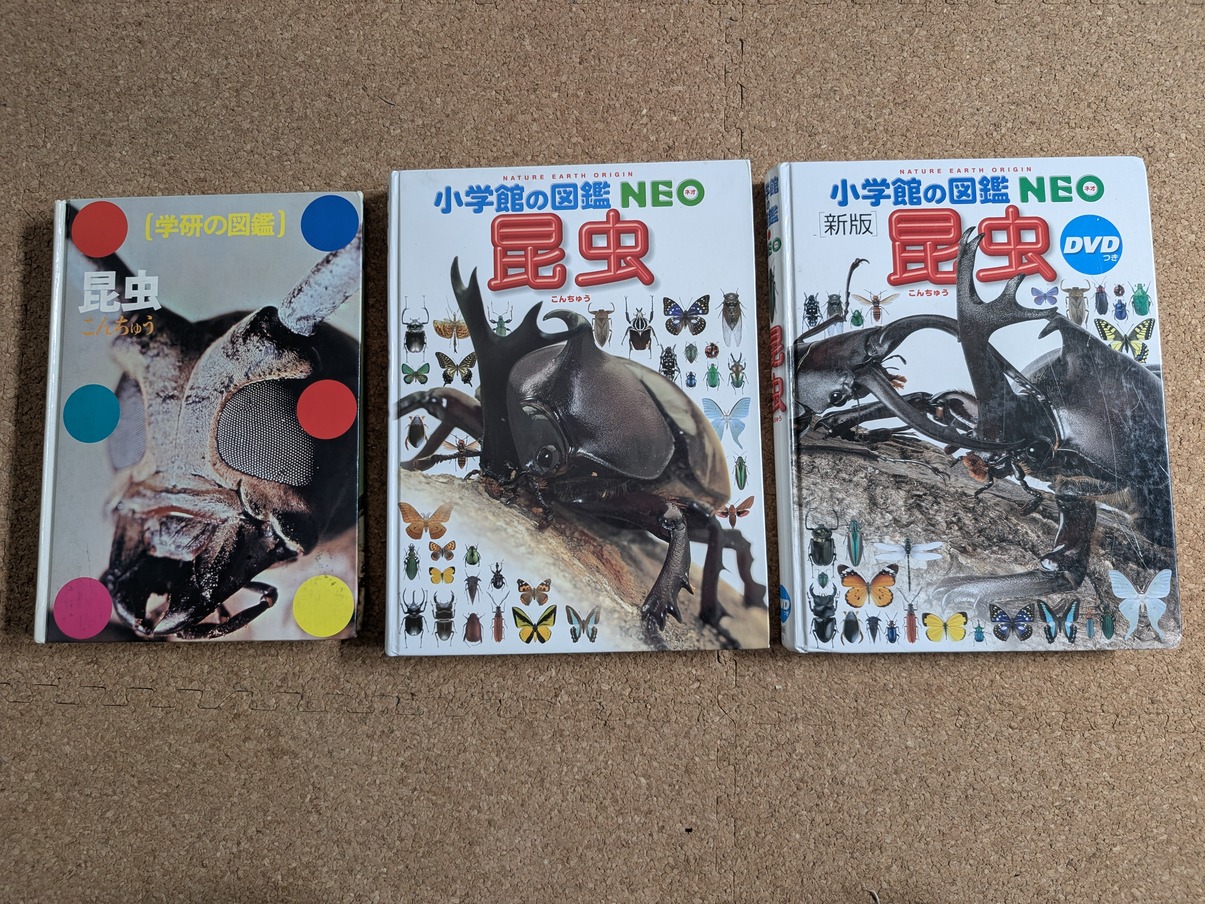 昆虫の図鑑が3冊、古い順に横に並んでいる。学研の図鑑、小学館の図鑑NEO、NEO新版DVDつき